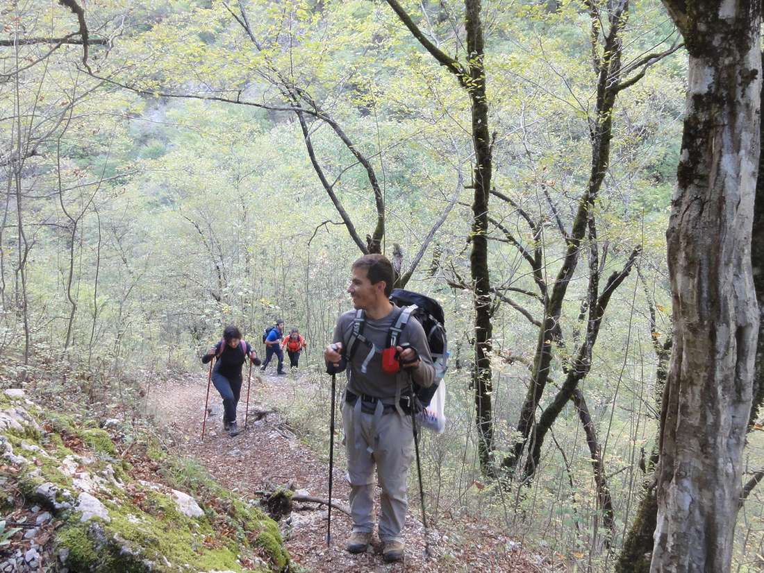 Βιτσικό-Κουκούλι: Η αρχή της επικουρικότητας